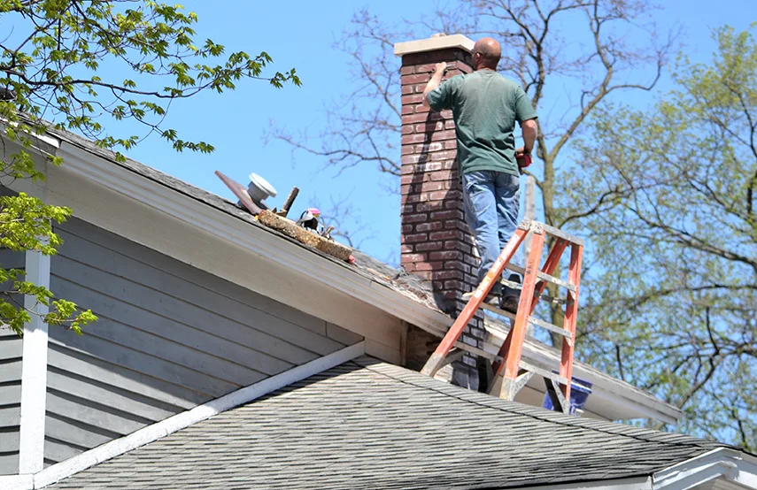 Chimney & Fireplace Inspections Services in Lakewood, CO